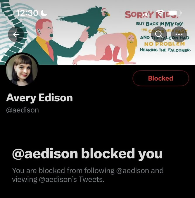 screenshot of @aedison's twitter profile displaying message: "@aedison blocked you"