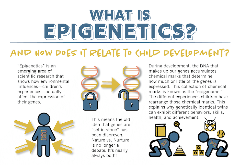 Infographic from Harvard Center for the Developing Child reads: what is epigenetics? Info graphic explains that nature and nurture can imprint a specific signature on an individual: including both positively and negatively, in developing children